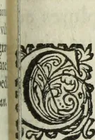 An illustration from C. Iulii Caesaris quae extant, cum selectis variorum commentariis, quorum plerique novi (1661)