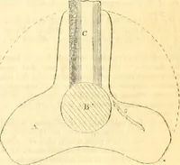 Picture 97 of 138 from Civil engineer and architect's journal (1837), leaf 322