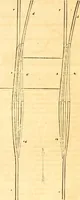 Picture 27 of 138 from Civil engineer and architect's journal (1837), leaf 92