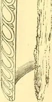 An illustration from The Civil engineer and architect's journal, scientific and railway gazette (1839)
