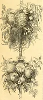 An illustration from The Civil engineer and architect's journal, scientific and railway gazette (1839)