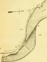 An illustration from The Civil engineer and architect's journal, scientific and railway gazette (1839)
