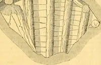 An illustration from The Civil engineer and architect's journal, scientific and railway gazette (1839)