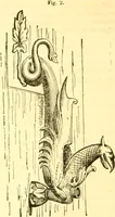 An illustration from The Civil engineer and architect's journal, scientific and railway gazette (1839)