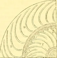 An illustration from The Civil engineer and architect's journal, scientific and railway gazette (1839)