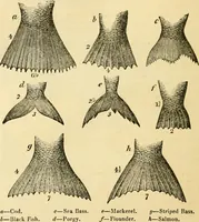 An illustration from The Civil engineer and architect's journal, scientific and railway gazette (1839)