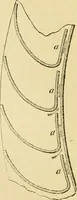 An illustration from The Civil engineer and architect's journal, scientific and railway gazette (1839)