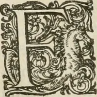 Picture 42 of 75 from Civitas veri sive morvm (1609), leaf 149
