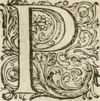 Picture 55 of 75 from Civitas veri sive morvm (1609), leaf 185