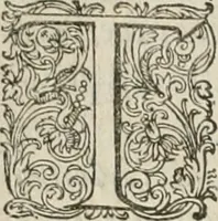 Picture 13 of 75 from Civitas veri sive morvm (1609), leaf 21