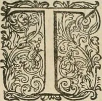 Picture 63 of 75 from Civitas veri sive morvm (1609), leaf 217
