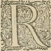 Picture 64 of 75 from Civitas veri sive morvm (1609), leaf 223