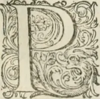 Picture 27 of 75 from Civitas veri sive morvm (1609), leaf 68