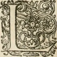 Picture 30 of 75 from Civitas veri sive morvm (1609), leaf 85