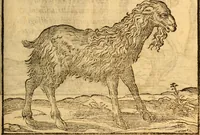 An illustration from C. Ivlii Caesaris (1575)
