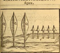 Picture 16 of 45 from C. Ivlii Caesaris (1575), leaf 54