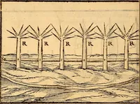 Picture 17 of 45 from C. Ivlii Caesaris (1575), leaf 55