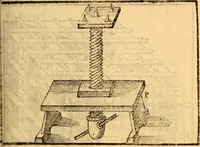 Picture 18 of 45 from C. Ivlii Caesaris (1575), leaf 56
