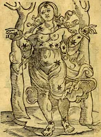 An illustration from C. Ivlii Hygini, Avgvsti liberti, Fabvlarvm liber ... Eivsdem Poeticon astronomicon libri quatuor. Quibus accessererunt similis argumenti, Palæphati De fabulosis narrationibus liber I. F. Fvlgentii Placiadis ... Mythologiarum libri III. Eivsdem De vocum antiquarum interpretatione liber I. Phornvti De natura deorum, siue Poëticarum fabularum allegoriis, speculatio. Albrici ... De deorum imaginibus liber. Arati fragmentum, Germanico Cæsare interprete. Eivsdem Phænomena græcè, cu interpretatione latina. Apollodori Biblioth. siue De decorum origine. Lilii. G. Gyraldi. De musis syntagnia. Index rerum sententiarum, & fabularum ... copiosissimus (1578)