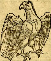 An illustration from C. Ivlii Hygini, Avgvsti liberti, Fabvlarvm liber ... Eivsdem Poeticon astronomicon libri quatuor. Quibus accessererunt similis argumenti, Palæphati De fabulosis narrationibus liber I. F. Fvlgentii Placiadis ... Mythologiarum libri III. Eivsdem De vocum antiquarum interpretatione liber I. Phornvti De natura deorum, siue Poëticarum fabularum allegoriis, speculatio. Albrici ... De deorum imaginibus liber. Arati fragmentum, Germanico Cæsare interprete. Eivsdem Phænomena græcè, cu interpretatione latina. Apollodori Biblioth. siue De decorum origine. Lilii. G. Gyraldi. De musis syntagnia. Index rerum sententiarum, & fabularum ... copiosissimus (1578)