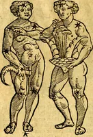 An illustration from C. Ivlii Hygini, Avgvsti liberti, Fabvlarvm liber ... Eivsdem Poeticon astronomicon libri quatuor. Quibus accessererunt similis argumenti, Palæphati De fabulosis narrationibus liber I. F. Fvlgentii Placiadis ... Mythologiarum libri III. Eivsdem De vocum antiquarum interpretatione liber I. Phornvti De natura deorum, siue Poëticarum fabularum allegoriis, speculatio. Albrici ... De deorum imaginibus liber. Arati fragmentum, Germanico Cæsare interprete. Eivsdem Phænomena græcè, cu interpretatione latina. Apollodori Biblioth. siue De decorum origine. Lilii. G. Gyraldi. De musis syntagnia. Index rerum sententiarum, & fabularum ... copiosissimus (1578)