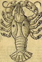 Picture 30 of 72 from C. Ivlii Hygini, Avgvsti liberti, Fabvlarvm liber ... Eivsdem Poeticon astronomicon libri quatuor. Quibus accessererunt similis argumenti, Palæphati De fabulosis narrationibus liber I. F. Fvlgentii Placiadis ... Mythologiarum libri III. Eivsdem De vocum antiquarum interpretatione liber I. Phornvti De natura deorum, siue Poëticarum fabularum allegoriis, speculatio. Albrici ... De deorum imaginibus liber. Arati fragmentum, Germanico Cæsare interprete. Eivsdem Phænomena græcè, cu interpretatione latina. Apollodori Biblioth. siue De decorum origine. Lilii. G. Gyraldi. De musis syntagnia. Index rerum sententiarum, & fabularum ... copiosissimus (1578), leaf 192