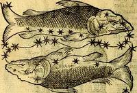 An illustration from C. Ivlii Hygini, Avgvsti liberti, Fabvlarvm liber ... Eivsdem Poeticon astronomicon libri quatuor. Quibus accessererunt similis argumenti, Palæphati De fabulosis narrationibus liber I. F. Fvlgentii Placiadis ... Mythologiarum libri III. Eivsdem De vocum antiquarum interpretatione liber I. Phornvti De natura deorum, siue Poëticarum fabularum allegoriis, speculatio. Albrici ... De deorum imaginibus liber. Arati fragmentum, Germanico Cæsare interprete. Eivsdem Phænomena græcè, cu interpretatione latina. Apollodori Biblioth. siue De decorum origine. Lilii. G. Gyraldi. De musis syntagnia. Index rerum sententiarum, & fabularum ... copiosissimus (1578)