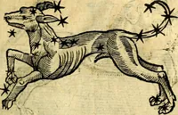 An illustration from C. Ivlii Hygini, Avgvsti liberti, Fabvlarvm liber ... Eivsdem Poeticon astronomicon libri quatuor. Quibus accessererunt similis argumenti, Palæphati De fabulosis narrationibus liber I. F. Fvlgentii Placiadis ... Mythologiarum libri III. Eivsdem De vocum antiquarum interpretatione liber I. Phornvti De natura deorum, siue Poëticarum fabularum allegoriis, speculatio. Albrici ... De deorum imaginibus liber. Arati fragmentum, Germanico Cæsare interprete. Eivsdem Phænomena græcè, cu interpretatione latina. Apollodori Biblioth. siue De decorum origine. Lilii. G. Gyraldi. De musis syntagnia. Index rerum sententiarum, & fabularum ... copiosissimus (1578)