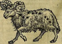 Picture 21 of 50 from C. Ivlii Hygini, Avgvsti liberti, Fabvlarvm liber ... antehac nunquam excusus. Evisdem Poeticon astronomicon libri quatuor. Quibus accesserunt similis agrumenti, Palaephati De fabulosis narrationibus, liber I. F. Fvlgentii Placiadis ... Mythologiarum libri III. Eivsdem De uocum antiquarum interpretatione, liber I. Arati Phainomenon fragmentum, Germanico Caesare interprete. Eivsdem Phaenomena Graece, cum interpretatione latina Procli De sphaera libellus, Graece & Latine. Index rerum & fabularum .. (1535), leaf 121