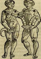 An illustration from C. Ivlii Hygini, Avgvsti liberti, Fabvlarvm liber ... antehac nunquam excusus. Evisdem Poeticon astronomicon libri quatuor. Quibus accesserunt similis agrumenti, Palaephati De fabulosis narrationibus, liber I. F. Fvlgentii Placiadis ... Mythologiarum libri III. Eivsdem De uocum antiquarum interpretatione, liber I. Arati Phainomenon fragmentum, Germanico Caesare interprete. Eivsdem Phaenomena Graece, cum interpretatione latina Procli De sphaera libellus, Graece & Latine. Index rerum & fabularum .. (1535)