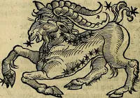 Picture 29 of 50 from C. Ivlii Hygini, Avgvsti liberti, Fabvlarvm liber ... antehac nunquam excusus. Evisdem Poeticon astronomicon libri quatuor. Quibus accesserunt similis agrumenti, Palaephati De fabulosis narrationibus, liber I. F. Fvlgentii Placiadis ... Mythologiarum libri III. Eivsdem De uocum antiquarum interpretatione, liber I. Arati Phainomenon fragmentum, Germanico Caesare interprete. Eivsdem Phaenomena Graece, cum interpretatione latina Procli De sphaera libellus, Graece & Latine. Index rerum & fabularum .. (1535), leaf 125