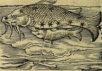 Picture 41 of 50 from C. Ivlii Hygini, Avgvsti liberti, Fabvlarvm liber ... antehac nunquam excusus. Evisdem Poeticon astronomicon libri quatuor. Quibus accesserunt similis agrumenti, Palaephati De fabulosis narrationibus, liber I. F. Fvlgentii Placiadis ... Mythologiarum libri III. Eivsdem De uocum antiquarum interpretatione, liber I. Arati Phainomenon fragmentum, Germanico Caesare interprete. Eivsdem Phaenomena Graece, cum interpretatione latina Procli De sphaera libellus, Graece & Latine. Index rerum & fabularum .. (1535), leaf 129