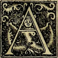 Picture 4 of 50 from C. Ivlii Hygini, Avgvsti liberti, Fabvlarvm liber ... antehac nunquam excusus. Evisdem Poeticon astronomicon libri quatuor. Quibus accesserunt similis agrumenti, Palaephati De fabulosis narrationibus, liber I. F. Fvlgentii Placiadis ... Mythologiarum libri III. Eivsdem De uocum antiquarum interpretatione, liber I. Arati Phainomenon fragmentum, Germanico Caesare interprete. Eivsdem Phaenomena Graece, cum interpretatione latina Procli De sphaera libellus, Graece & Latine. Index rerum & fabularum .. (1535), leaf 36
