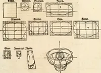 An illustration from Clariss[imi] pictoris et geometræ Alberti Dureri, De varietate figurarum et flexuris partium ac gestib[um] imaginum, : libri duo, cqui priorib[us] De symmetria quondam editis, nunc primum in latinum conversi accesserunt (1534)