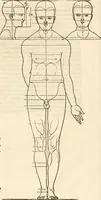 An illustration from Clariss[imi] pictoris et geometræ Alberti Dureri, De varietate figurarum et flexuris partium ac gestib[um] imaginum, : libri duo, cqui priorib[us] De symmetria quondam editis, nunc primum in latinum conversi accesserunt (1534)