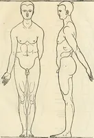 Picture 6 of 108 from Clariss[imi] pictoris et geometræ Alberti Dureri, De varietate figurarum et flexuris partium ac gestib[um] imaginum, : libri duo, cqui priorib[us] De symmetria quondam editis, nunc primum in latinum conversi accesserunt (1534), leaf 14