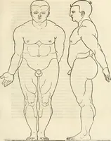 An illustration from Clariss[imi] pictoris et geometræ Alberti Dureri, De varietate figurarum et flexuris partium ac gestib[um] imaginum, : libri duo, cqui priorib[us] De symmetria quondam editis, nunc primum in latinum conversi accesserunt (1534)