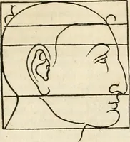 An illustration from Clariss[imi] pictoris et geometræ Alberti Dureri, De varietate figurarum et flexuris partium ac gestib[um] imaginum, : libri duo, cqui priorib[us] De symmetria quondam editis, nunc primum in latinum conversi accesserunt (1534)