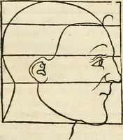 An illustration from Clariss[imi] pictoris et geometræ Alberti Dureri, De varietate figurarum et flexuris partium ac gestib[um] imaginum, : libri duo, cqui priorib[us] De symmetria quondam editis, nunc primum in latinum conversi accesserunt (1534)