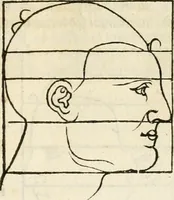 An illustration from Clariss[imi] pictoris et geometræ Alberti Dureri, De varietate figurarum et flexuris partium ac gestib[um] imaginum, : libri duo, cqui priorib[us] De symmetria quondam editis, nunc primum in latinum conversi accesserunt (1534)