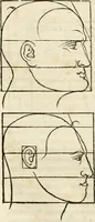 An illustration from Clariss[imi] pictoris et geometræ Alberti Dureri, De varietate figurarum et flexuris partium ac gestib[um] imaginum, : libri duo, cqui priorib[us] De symmetria quondam editis, nunc primum in latinum conversi accesserunt (1534)