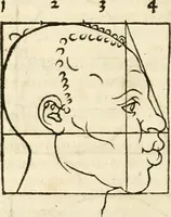 An illustration from Clariss[imi] pictoris et geometræ Alberti Dureri, De varietate figurarum et flexuris partium ac gestib[um] imaginum, : libri duo, cqui priorib[us] De symmetria quondam editis, nunc primum in latinum conversi accesserunt (1534)