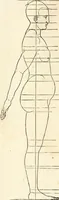 An illustration from Clariss[imi] pictoris et geometræ Alberti Dureri, De varietate figurarum et flexuris partium ac gestib[um] imaginum, : libri duo, cqui priorib[us] De symmetria quondam editis, nunc primum in latinum conversi accesserunt (1534)