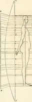 An illustration from Clariss[imi] pictoris et geometræ Alberti Dureri, De varietate figurarum et flexuris partium ac gestib[um] imaginum, : libri duo, cqui priorib[us] De symmetria quondam editis, nunc primum in latinum conversi accesserunt (1534)