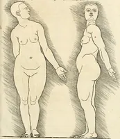 An illustration from Clariss[imi] pictoris et geometræ Alberti Dureri, De varietate figurarum et flexuris partium ac gestib[um] imaginum, : libri duo, cqui priorib[us] De symmetria quondam editis, nunc primum in latinum conversi accesserunt (1534)