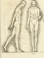 An illustration from Clariss[imi] pictoris et geometræ Alberti Dureri, De varietate figurarum et flexuris partium ac gestib[um] imaginum, : libri duo, cqui priorib[us] De symmetria quondam editis, nunc primum in latinum conversi accesserunt (1534)