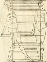 An illustration from Clariss[imi] pictoris et geometræ Alberti Dureri, De varietate figurarum et flexuris partium ac gestib[um] imaginum, : libri duo, cqui priorib[us] De symmetria quondam editis, nunc primum in latinum conversi accesserunt (1534)