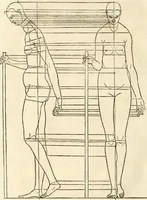 An illustration from Clariss[imi] pictoris et geometræ Alberti Dureri, De varietate figurarum et flexuris partium ac gestib[um] imaginum, : libri duo, cqui priorib[us] De symmetria quondam editis, nunc primum in latinum conversi accesserunt (1534)