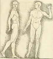 An illustration from Clariss[imi] pictoris et geometræ Alberti Dureri, De varietate figurarum et flexuris partium ac gestib[um] imaginum, : libri duo, cqui priorib[us] De symmetria quondam editis, nunc primum in latinum conversi accesserunt (1534)