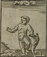 Picture 92 of 111 from Clarissimi Viri D. Andreae Alciati Emblematum libellus : vigilanter recognitus, & ab ipso iam authore locupletatus (1542), leaf 103